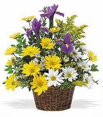 Ankara Keçiören Çankaya Çiçekçi firma ürünümüz karışık çiçeklerden mevsim sepeti Ankara çiçek gönder firması şahane ürünümüz 
