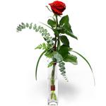 Ankara Keçiören çiçek siparişi sitemizin görsel ürünü Camda sadece tek kırmızı gül Ankara çiçek gönder firması şahane ürünümüz 