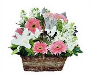 Ankara Keçiören çiçek gönder firmamızdan görsel ürün karışık mevsim çiçek sepeti Ankara çiçek gönder firması şahane ürünümüz 