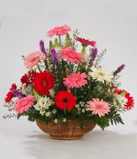 Ankara Keçiören Yenimahalle Çiçekçi firma ürünümüz Karışık Gerbera mevsim sepeti çiçeği Ankara çiçek gönder firması şahane ürünümüz 