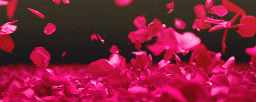 Ankara çiçekçi keçiören