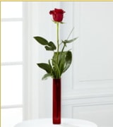 Vazo içerisinde 1 adet kırmızı gül Ankara internetten çiçek siparişi 